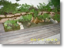 ground deck48.JPG